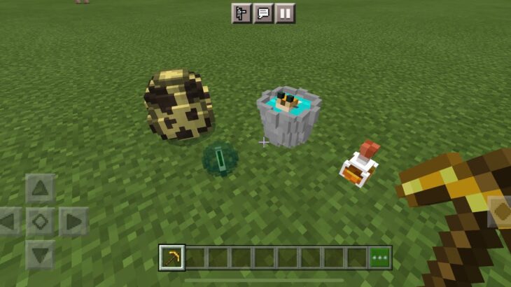 Placeable Items MOD in Minecraft PE