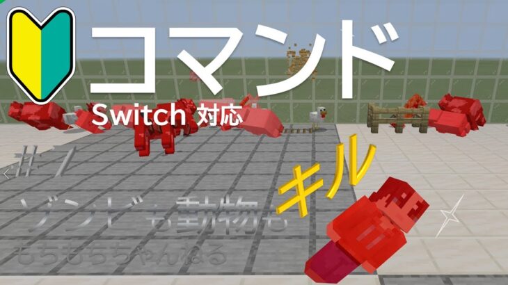 【マイクラ】Switch版コマンド#７ もちもちちゃんねる