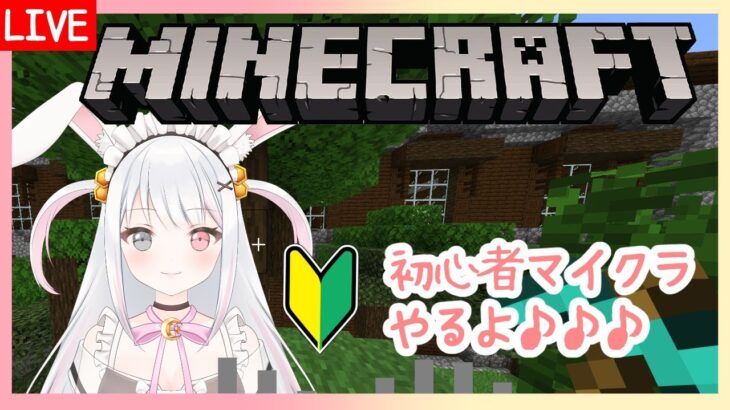 【VTuber】前半・マイクラ！雑談しながら毛狩機つくる♪（mate鯖！）【Minecraft】