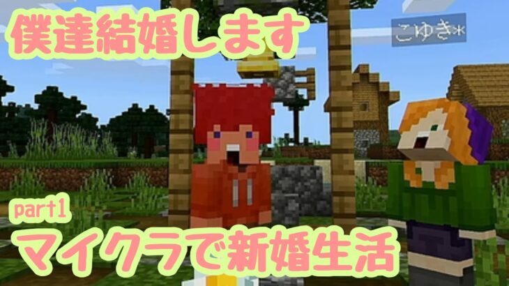 結婚したので家を作りましょう！【マインクラフトpart１】