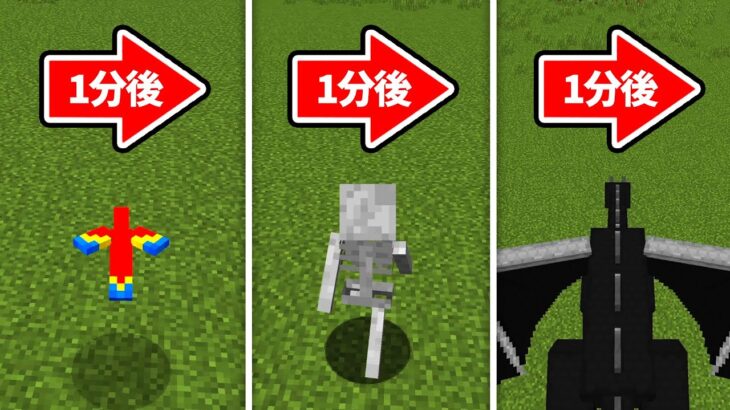 １分ごとにモブになってしまう世界でサバイバル【マイクラ】