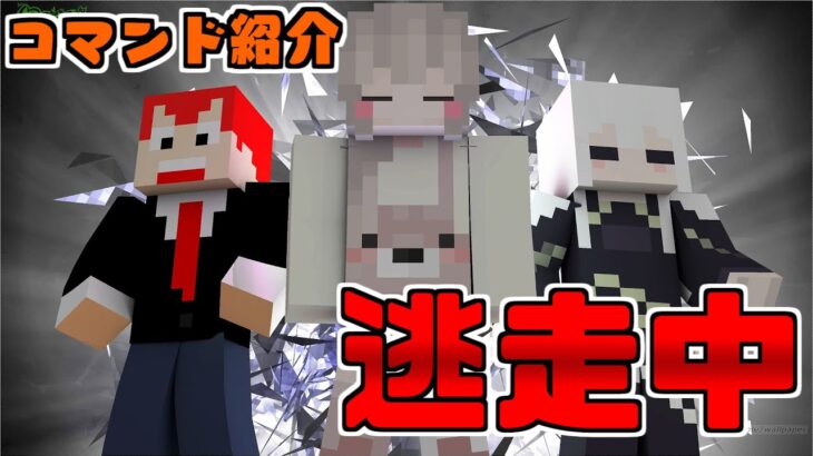 【ドズぼん】『マイクラ逃走中』第三弾〜コマンド紹介〜【マインクラフト】