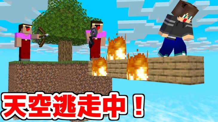 最強の戦術を考えて戦い抜け！スカイウォーズ！【マイクラ】【マインクラフト】