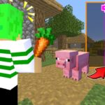 【マインクラフト】モブの中身がランダムに入れ替わった世界でサバイバルしたらヤバすぎたｗ