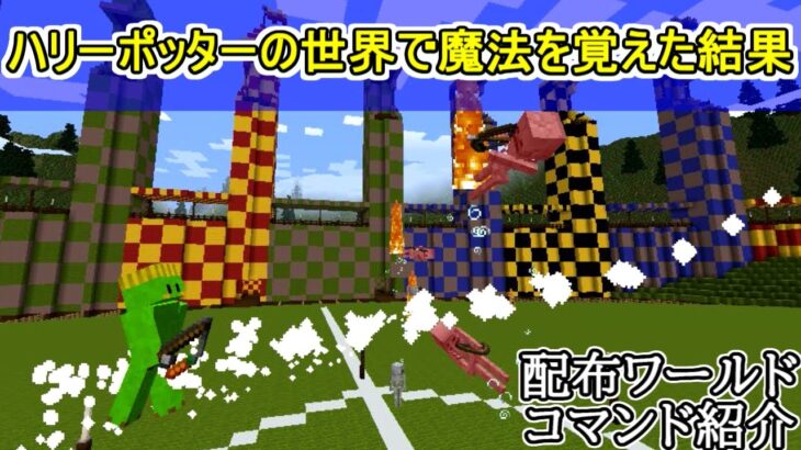 【マイクラコマンド・配布ワールド紹介】ハリーポッターの世界で魔法を覚えたら、大変なことになった