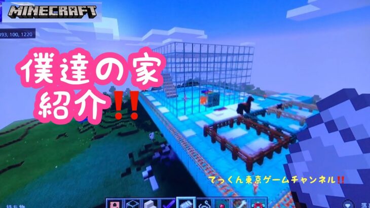 【マインクラフト】【スイッチ】僕達の家を紹介するよ‼️