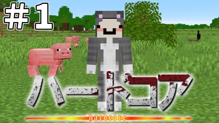 マイクラ ネコおじハードコア生活 1 Minecraft Summary マイクラ動画