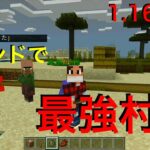 マインクラフト スポーンチェッカーで湧き潰し コマンド データパック Minecraft Summary マイクラ動画