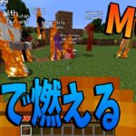 アイテムを持つと3秒で体が燃えるMODで生きていく – マインクラフト【KUN】