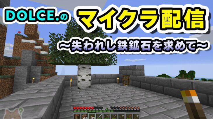 【マイクラ】失われた鉄鉱石を取り返しに行く配信【DOLCE. / Minecraft】