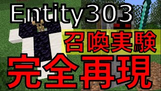 【コマンド】ドクターナバさんに届け‼この動画‼ Entity303召喚実験 【マイクラJE(PC版)】