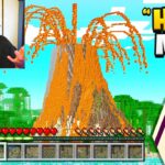 I Trolled With A Volcano Mod! – Minecraft