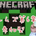 【Minecraft】マイクラ 参加型　各拠点への道を作る　レルムズ　　顔出しライブ