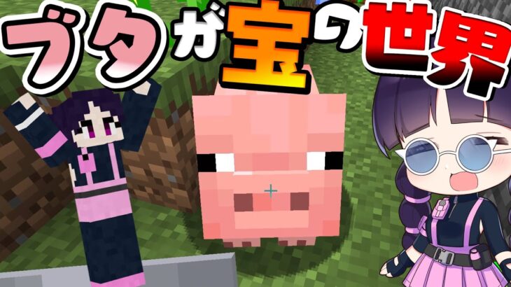 マイクラ ブタは可愛いだけじゃない 豚が宝の世界でサバイバル 不思議な世界で大冒険シリーズ２ マインクラフト Minecraft ゆっくり実況 Minecraft Summary マイクラ動画