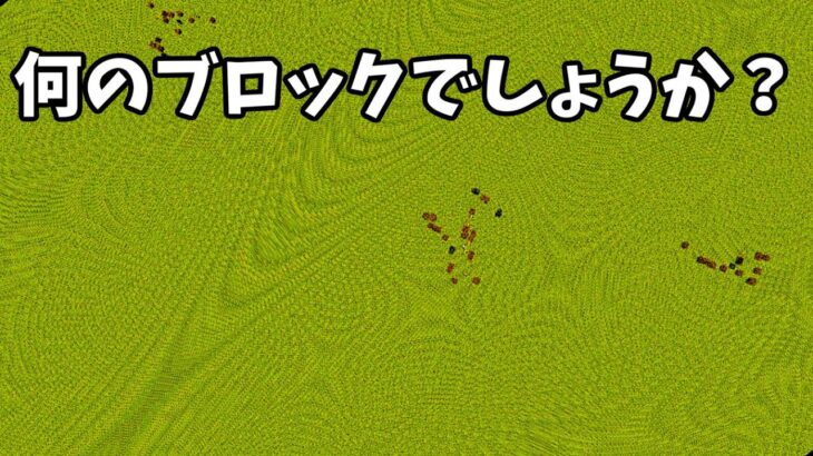 [マイクラ不思議現象] この地面は”あるもの”で出来ているんです[Minecraft]