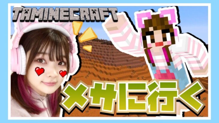 メサにつながるネザーで悲劇連発！！(涙)【マイクラ】【マインクラフト】【Minecraft】【女性ゲーム実況者】【TAMAchan】