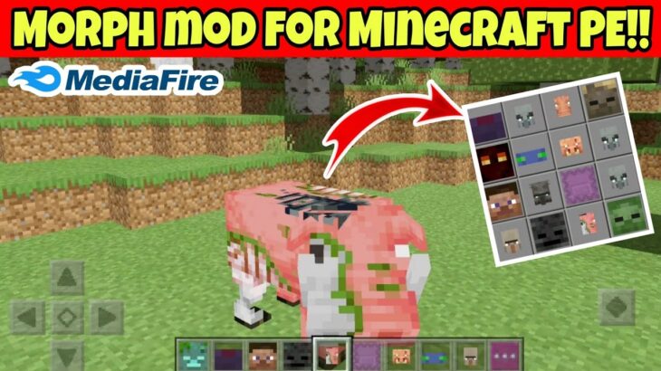Morph Mod for Minecraft Pocket Edition|morph mod for mcpe||heroXyt 😃