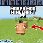 Morph addon for Minecraft pocket edition | Morph mod for Minecraft PE |Transforme intomob|Roargaming