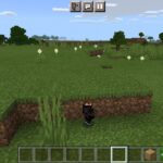 baby player mod in minecraft PE