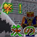 「突撃！茨の城」仮面ライダーmodでサバイバル！#19【マイクラmod実況】