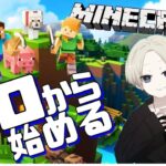 右も左も分からないマイクラ【マインクラフト】【雑談】