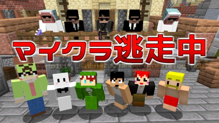 【マイクラ逃走中】ぴくとの叫び｢チャンネル登録してくださぁああい‼｣【赤髪のとも視点】