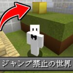 ジャンプ禁止の世界からの脱出【マイクラ】