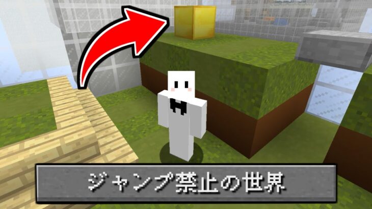 ジャンプ禁止の世界からの脱出【マイクラ】