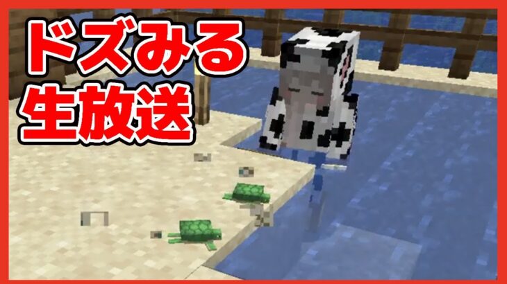 夫婦マイクラ 初めてのカメの孵化に挑戦 Minecraft Summary マイクラ動画