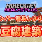 【マインクラフト統合版レルムズ】豆腐建築について考える