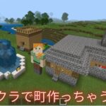 小学４年生が造ったマインクラフト村～村人の家と集合住宅と噴水と畑～