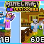 １マスの世界で１００日サバイバル生活してみた結果#２【マイクラ/まいくら】