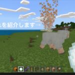 魔法コマンドの中で一番簡単な魔法【マイクラ】【コマンド】