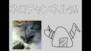 ネロ配信!! 鮭おにぎりと猫の剣と魔法のフライシェン!! （マインクラフト）