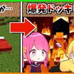 【マイクラ】初心者にネザーでベット置いたら爆発するドッキリしてみたwwwwwww【＃１１】