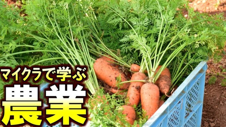 (マイクラ)農業無知だけど大牧場を作って一攫千金を狙いたい男#03(Minecraft マインクラフト)