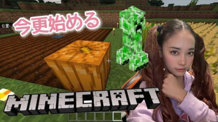 【マイクラ】#1 初配信。目が覚めたら、知らない世界だった【マインクラフト】