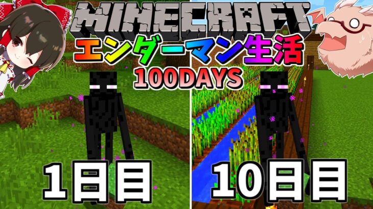 マイクラ エンダーマンマンに変身して100日間サバイバル生活してみた結果 1日 10日目 マインクラフト 100days ゆっくり実況 Minecraft Summary マイクラ動画