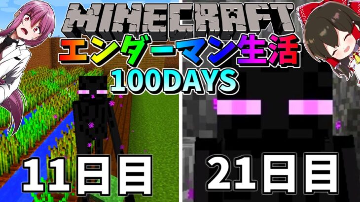 マイクラ エンダーマンに変身して100日間サバイバル生活してみた結果 11日 21日目 マインクラフト 100days ゆっくり実況 Minecraft Summary マイクラ動画