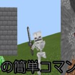 [超簡単]マインクラフトBE(統合版)のお手軽初心者向けコマンド！