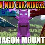 Dragon mod for Minecraft pocket edition dragon mounts 2 for Minecraft PE | Roargaming