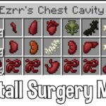 How To Install The  Surgery Mod For Minecraft | 1 16+