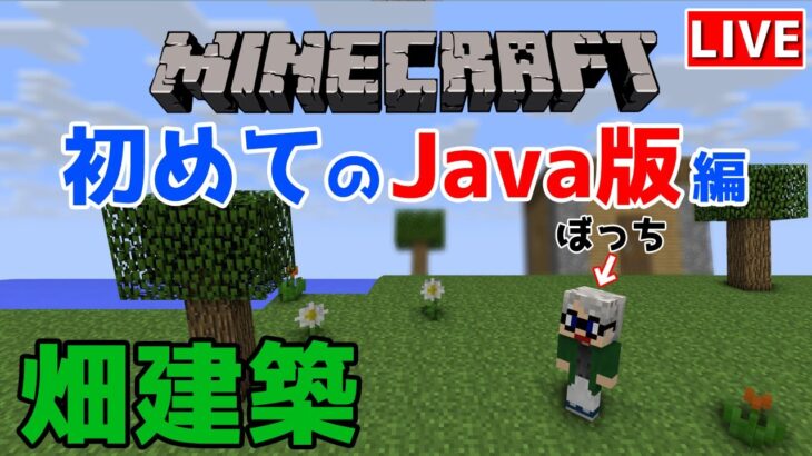 【マインクラフトJava版】建築センス0が雑談しながら視聴者さんに教えてもらう！#4【LIVE】