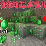 【マイクラ】Lv99のエメラルド鉱石がある世界でサバイバルPVPしたらとんでもない武器が作れた！？