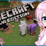 【ゲリラ/MINECRAFT】唐突に始まるコラボマイクラ【新人VTuber / 花凪宮かのん – Kanon Hanamiya – 】