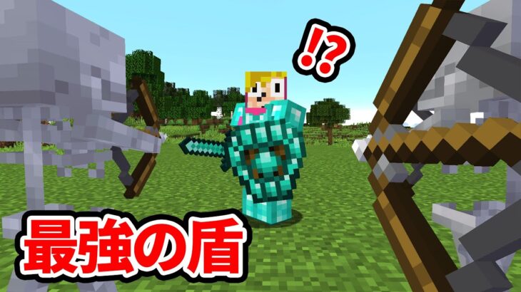 最強のダイヤ盾で襲撃を攻略するマインクラフト マイクラ 超鳥犬猿modクラフト 30 Minecraft Summary マイクラ動画