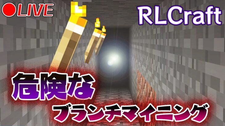 🔴【マイクラMOD】続・危険だけど素材集めブランチマイニングにチャレンジ💎【RLCraft】