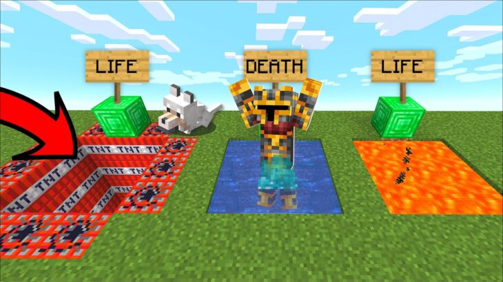 Minecraft DONT JUMP INSIDE WRONG HOLE IN THE UNDERGROUND MOD / CHOOSE LIFE OR DEATH ! Minecraft Mods