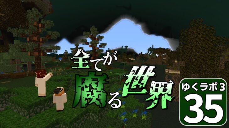 【Minecraft】ゆくラボ３～魔法世界でリケジョ無双～ Part.35【ゆっくり実況】