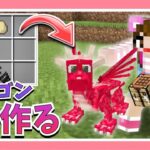 ドラゴンを作って育ててワールドを荒らしてみたｗ【マイクラ】【マインクラフト】【Minecraft】【女性ゲーム実況者】【TAMAchan】